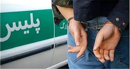 انتشار تصاویر خصوصی یک شهروند در فضای مجازی/ واکنش پلیس
