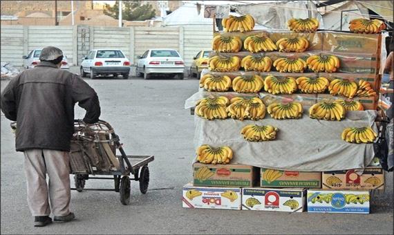 چرا میوه در این 5 استان گران‌تر است؟