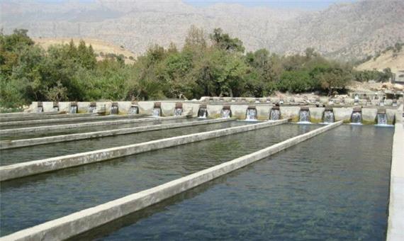 تسهیلات پرورش ماهی برای متقاضیان افزایش یابد