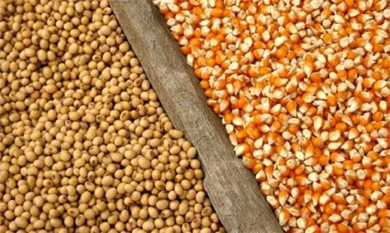 فراهم سازی زمینه ترخیص بیش از 256 هزار تن نهاده دامی از بندر امام