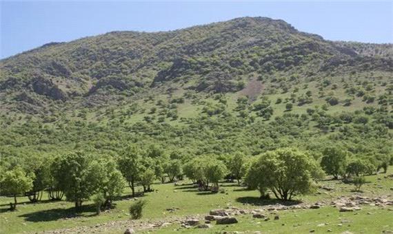 15 هزار مترمربع از اراضی ملی در دزفول بازپس گرفته شد