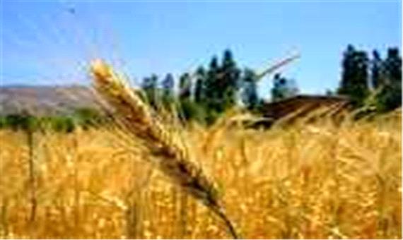 خوزستان، سرزمین کشاورزی کشور