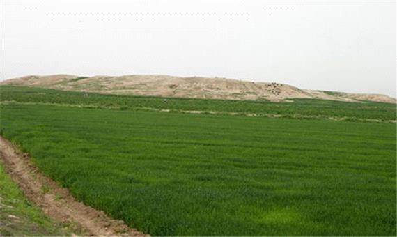ساخت‌وساز در محوطه 2000 ساله «لور»
