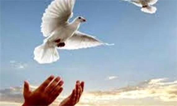 آزادی 9 زندانی معسر به مناسبت روز ارادت به امام جواد(ع) در 99/9/9