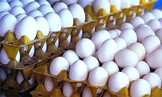 کاهش 2 هزار تومانی قیمت هر شانه تخم‌مرغ در میادین تره‌بار