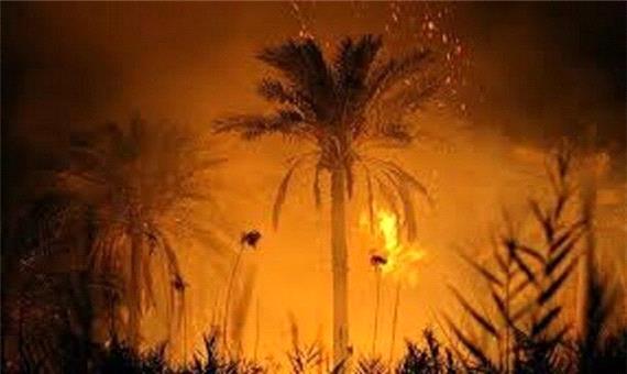 330 نفر نخل در اروندکنار در آتش سوخت