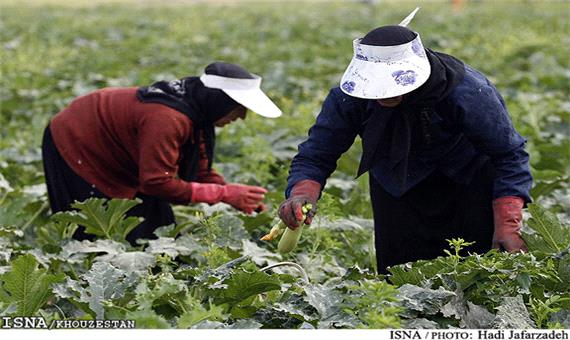پرداخت 42 هزار میلیارد ریال تسهیلات به کشاورزان خوزستان