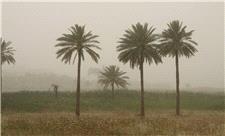 خوزستان بر مدار آلودگی؛ هوای 7 شهر در وضعیت خطرناک