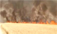 آتش‌سوزی عظیم در مزارع کشاورزی منطقه نوترگی ایذه