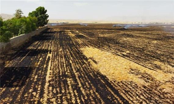 10 هکتار از زمین‌های کشاورزی ایذه در آتش سوخت