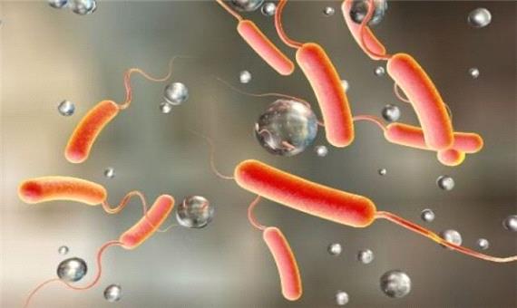 تاکنون مورد مشکوک یا قطعی ابتلا به وبا در خوزستان گزارش نشده است