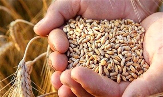 واردات یک میلیون و 200 هزار تن گندم و روغن به کشور