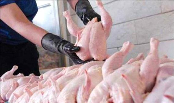 توزیع 78 تن مرغ و گوشت میان مواکب اربعین در خوزستان