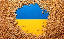 از سرگیری روند صادرات غلات از اوکراین / ورود کشتی حامل ذرت به بندرامام