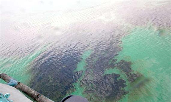 منشأ آلودگی نفتی در ساحل بحرکان هندیجان چه بود؟