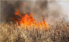 انتقاد اهالی کارون از آتش سوزی مزارع نیشکر