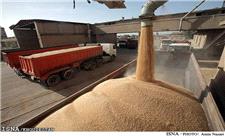 واردات یک میلیون و 750 هزار تن گندم از بندرامام به کشور