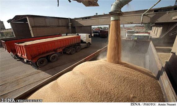 واردات یک میلیون و 750 هزار تن گندم از بندرامام به کشور
