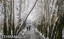 تهران برای روز برفی آماده بود