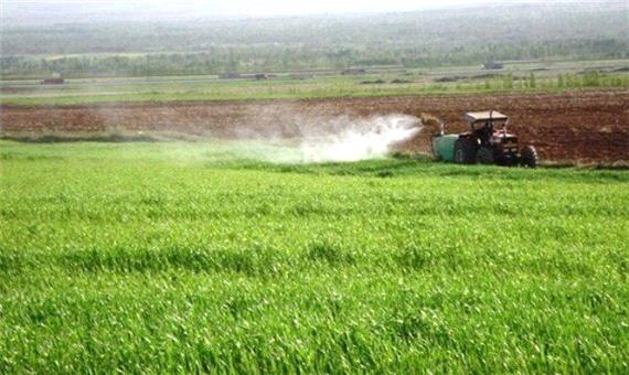 عملیات کنترل علف‌های هرز گندم در مزارع خوزستان آغاز شد