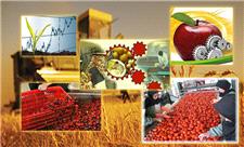 بیشتر شهرهای خوزستان مناسب ایجاد صنایع تبدیلی کشاورزی هستند