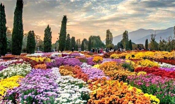 بازار گل در غرب تهران احداث می‌شود