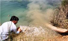 رهاسازی 300 هزار قطعه بچه ماهی بومی در منابع آبی خرمشهر