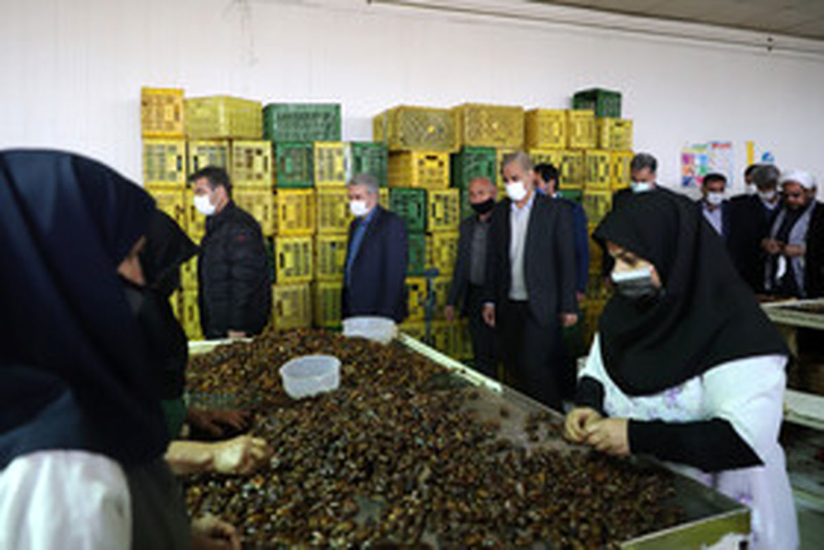 سفر وزیر صنعت، معدن و تجارت به خوزستان
