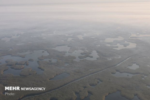 هورالعظیم در خشکی و آتش/ لزوم رایزنی برای اطفای حریق