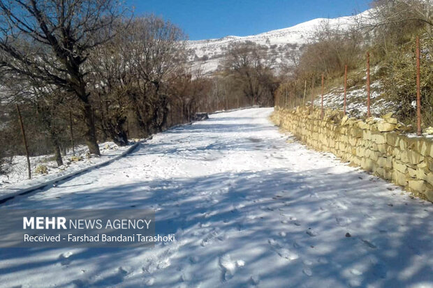 مسدود شدن مسیر 60 روستای دزپارت و اندیکا بر اثر بارش برف