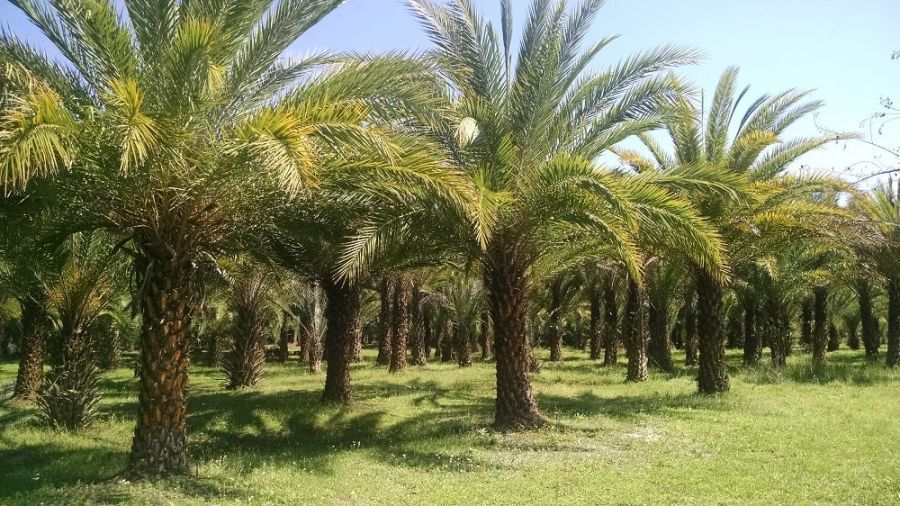 پیام خوزستان