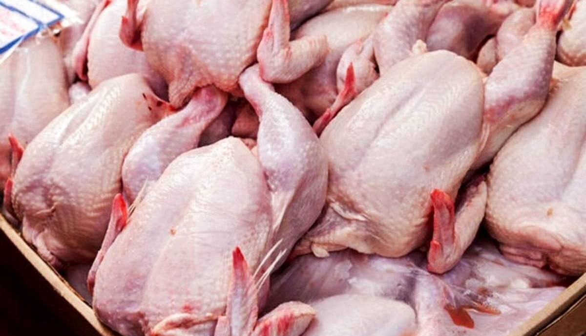 قیمت مرغ آرام گرفت؛ بازار کاهشی می‌ماند؟
