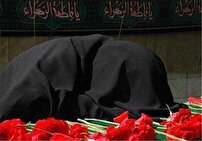 یادی از شهید سیدشاهرخ مهری زاده