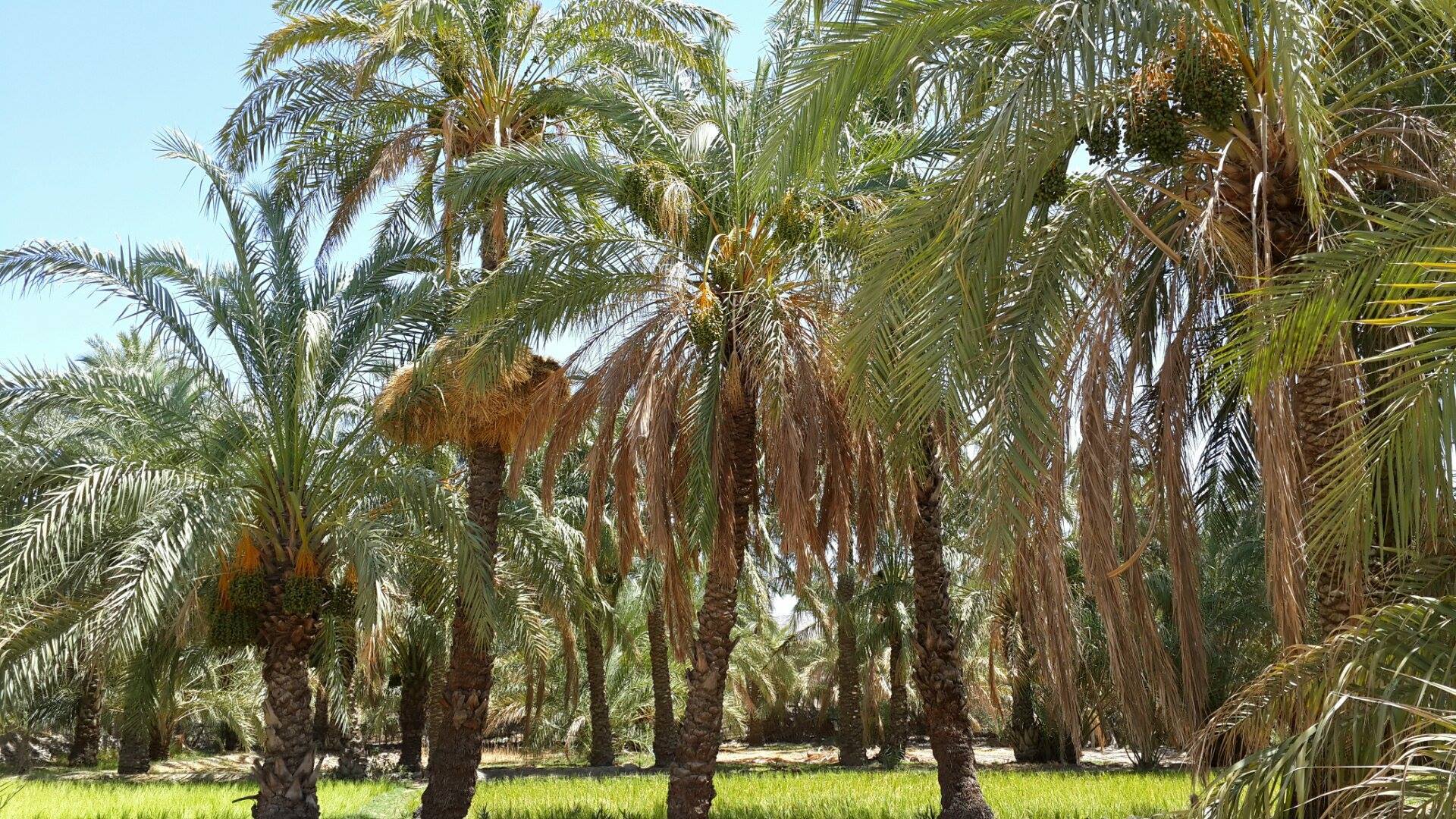 پیام خوزستان