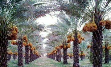 پیام خوزستان