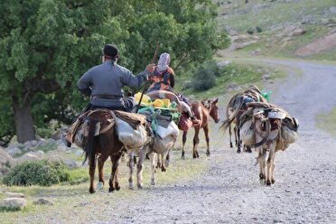 آمادگی اداره کل امور عشایر خوزستان برای بازگشت عشایر از ییلاقات