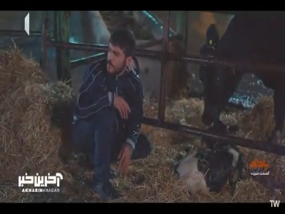 دارم صبر و حوصلمو از دست میدم!