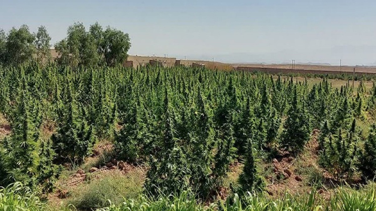 پیام خوزستان