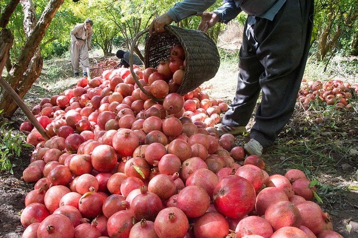 پیام خوزستان