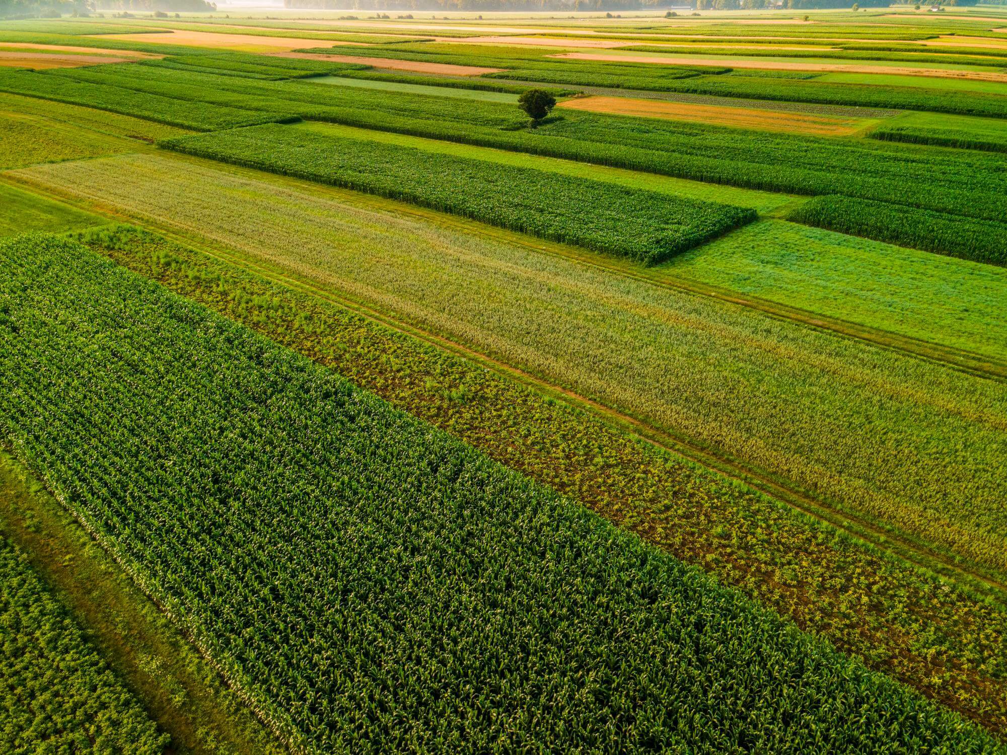پیام خوزستان