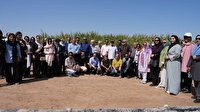 بازدید جمعی از هنرمندان عرصه ادبیات داستانی کشور از ظرفیت‌های صنعت نیشکر در خوزستان