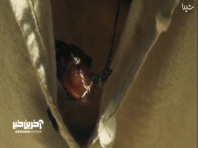 دختر بصیر الملک عاشق پسر نجار شد؟