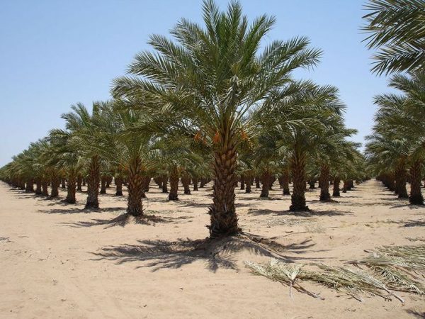 پیام خوزستان