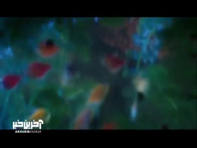 مراسم عقد خشک و خالی آوا و سیاوش!
