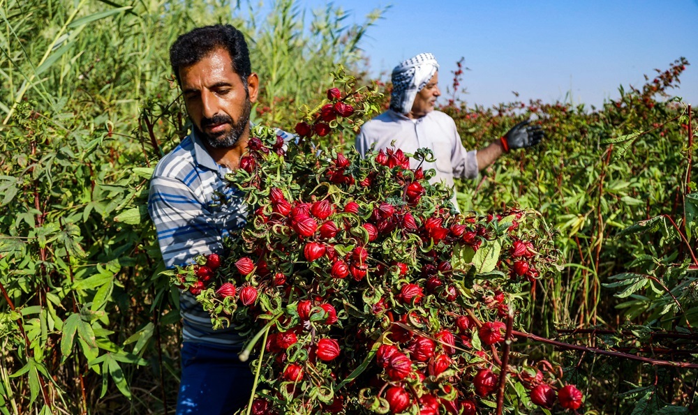 پیام خوزستان