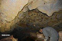 شناسایی غار جدید در شهرستان لالی