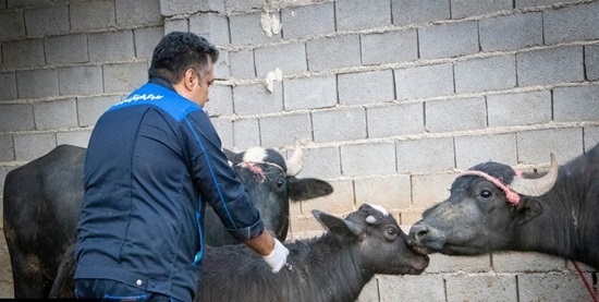 پیام خوزستان