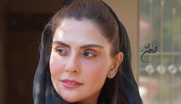 چهره ها/ استایل متفاوت شری سریال پایتخت در یک مراسم