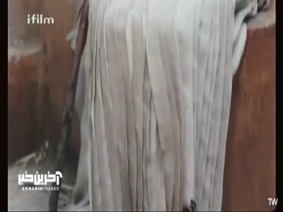 زلیخا تمام برده‌های خود را آزاد کرد!