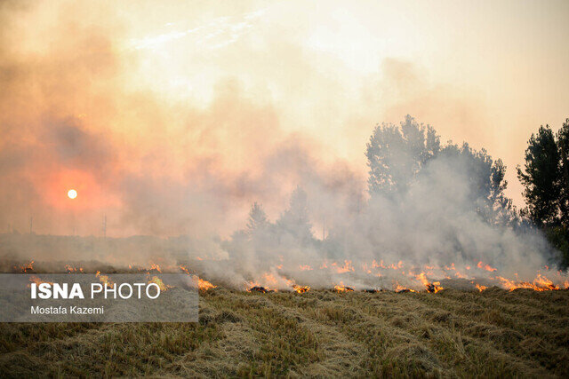 اعلام ممنوعیت سوزاندن بقایای مزارع و محصولات کشاورزی در خوزستان
